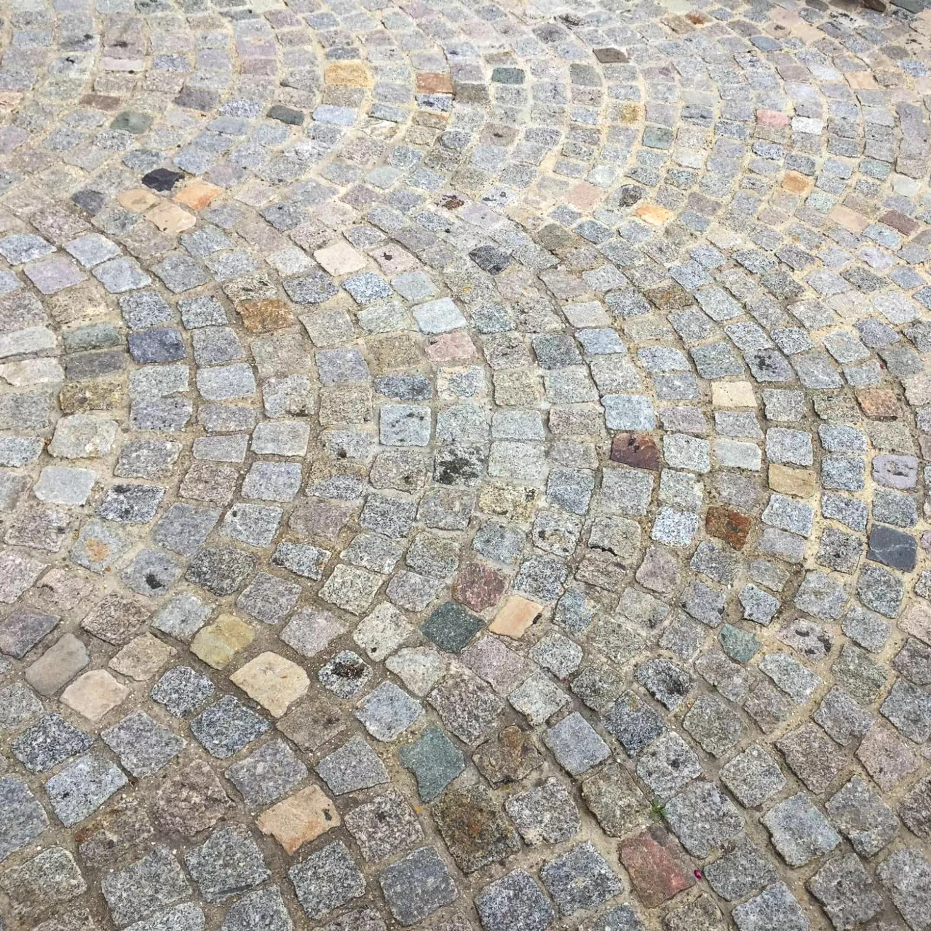 pavé en granit pour jardin