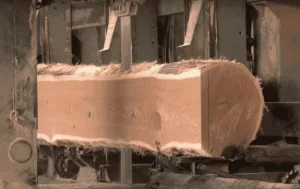 parquet en chêne massif coupé dans le tronc d'un arbre