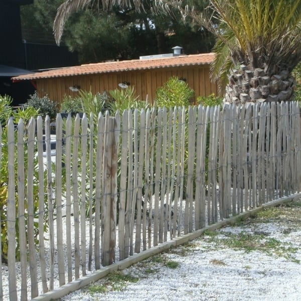 clôture ganivelle bois acacia