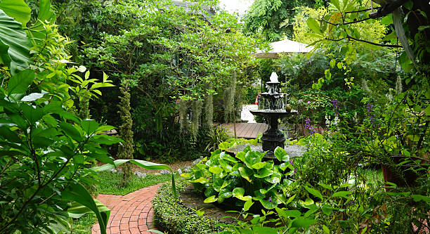 Fontaine d'eau avec une allée en briques rouges et des plantes tropicales.