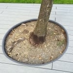 cornieères pvc grises pour contour d'arbre
