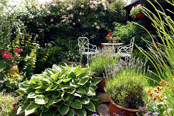 Terrasse entourée de verdure