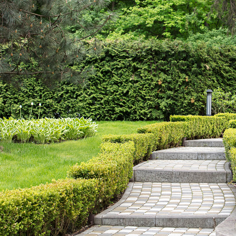 pavé blanc dans un jardin