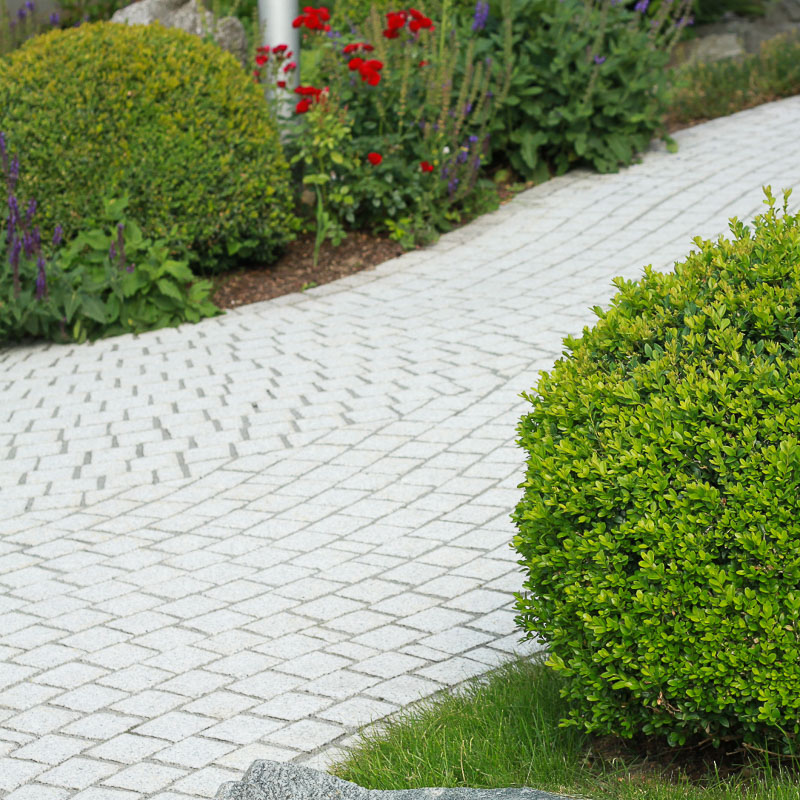 pavé blanc dans un jardin avec fleurs