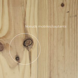parquet avec noeud mobiles sautants