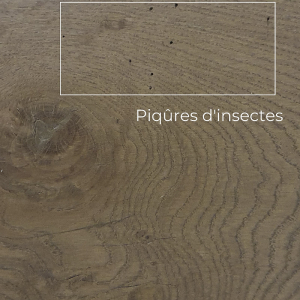 parquet avec piqures d'insectes