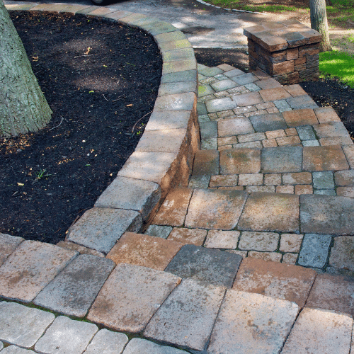 pavé tour d'arbre