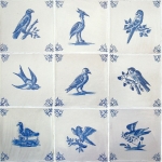 Oiseaux bleus