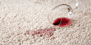 tache de vin sur moquette