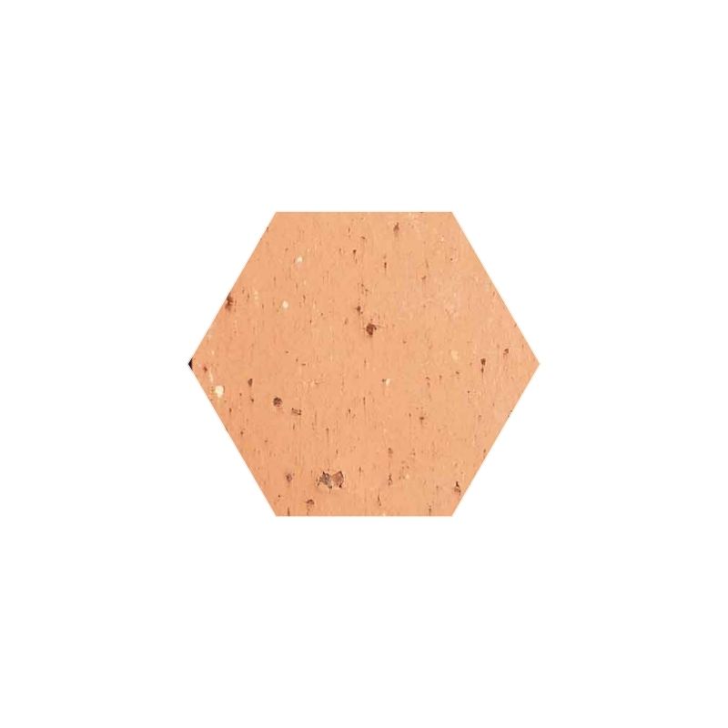 Tomette hexagonale Salernes (Teinte: Brenne)