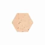 Tomette hexagonale aspect arraché Touraine 16x18x2,4