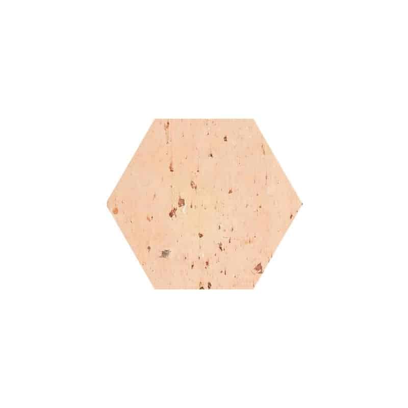 Tomette hexagonale Salernes (Teinte: Touraine)