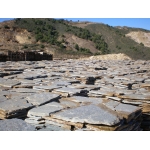 Pierre de parement naturelle quartzite argent doré lumineux et durable